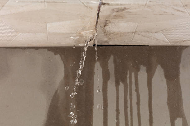 Professional Structural Drying technician working in Woodhaven, MI